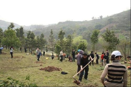 栽樹五大誤區(qū)，您中招了嗎？