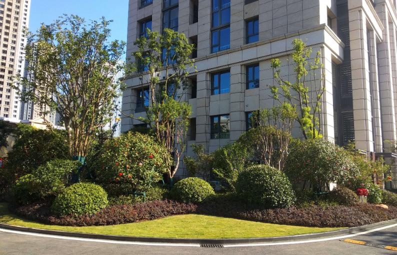 降溫了！湖北園林綠化公司分享植物萎蔫后的如何養(yǎng)護(hù)和復(fù)壯