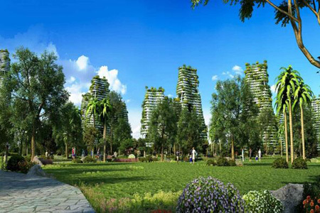 降溫了！襄陽園林公司分享植物萎蔫后的養(yǎng)護和復壯 