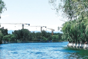 湖北凱蒂園林分享十種超耐寒的開花植物，不怕凍傷！ 