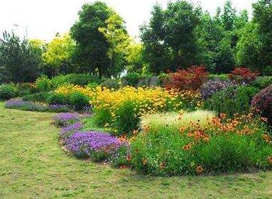 市政工程道路園林綠化要點(diǎn)，你了解嗎