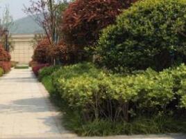 園林設計的原則一般有什么呢？