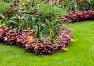 園林景觀設計，要注意什么事項呢？